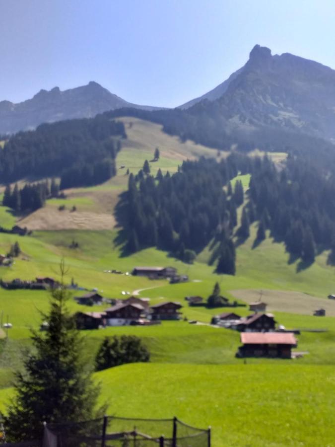 Chalet Aloa Daire Adelboden Dış mekan fotoğraf