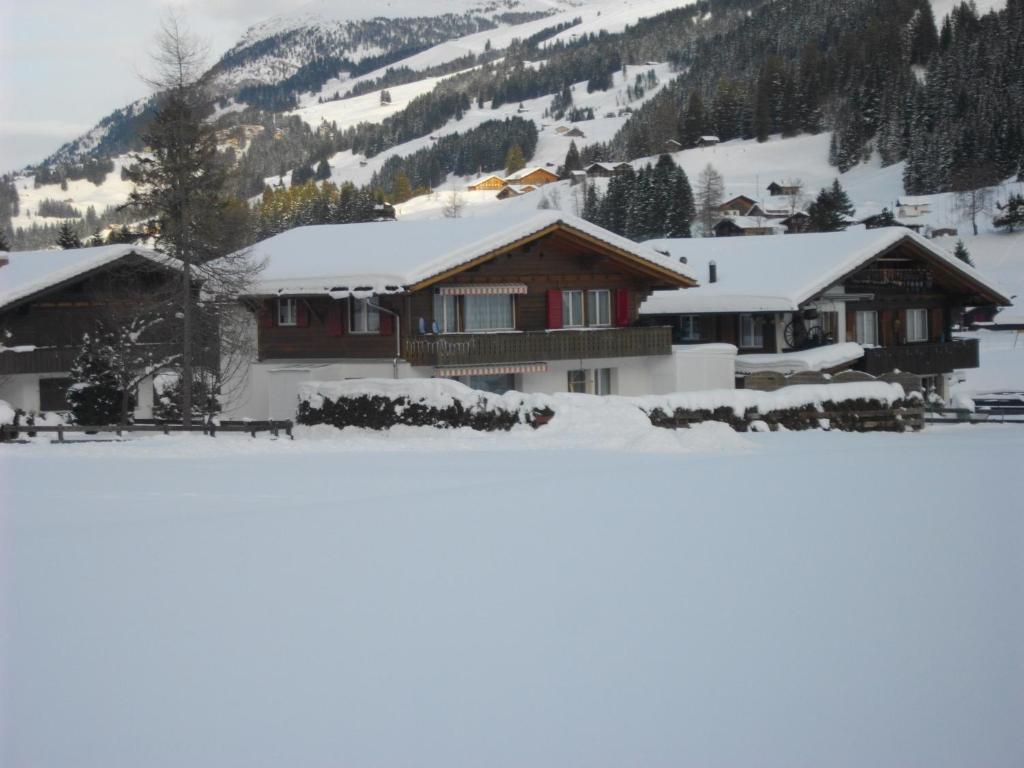 Chalet Aloa Daire Adelboden Dış mekan fotoğraf