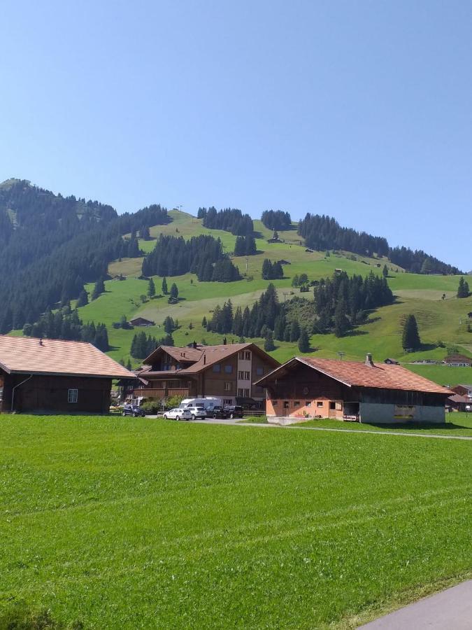 Chalet Aloa Daire Adelboden Dış mekan fotoğraf